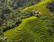 Mùa lúa vẹn nguyên sau bão, Hà Giang mời khách trở lại