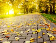 Những điểm đến mùa thu ở Việt Nam được nhiều du khách tìm kiếm