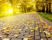 Những điểm đến mùa thu ở Việt Nam được nhiều du khách tìm kiếm