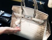 Review túi Hermès Bạch Tạng Himalaya của Ngọc Trinh