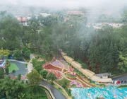 Một ngày lạc giữa Rừng Thông Núi Voi, nơi bình yên chạm tới từng hơi thở
