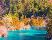 Top chùm tour dưới 20 triệu – Vi vu cùng các “huyền thoại mùa thu”