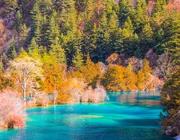 Top chùm tour dưới 20 triệu – Vi vu cùng các “huyền thoại mùa thu”