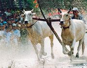 An Giang thắp sáng giá trị đoàn kết, nâng cao đời sống đồng bào dân tộc