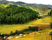Du lịch Thanh Hoá: Nâng tầm thương hiệu trên bản đồ du lịch Việt Nam