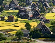 Làng cổ Shirakawa-go và lời nguyện cầu trong tuyết trắng