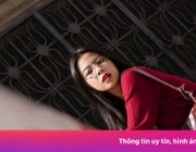 Một tuần mặc áo len ở TP.HCM