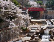 Arima Onsen: Miền đất thiêng của suối nước nóng và văn hóa Nhật Bản