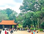 Du lịch Thanh Hóa sôi động dịp Tết Nguyên đán 2025