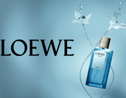 LOEWE ra mắt Agua Drop - Sự hòa quyện tinh tế của sương mai tươi mát và hương gỗ đậm đà