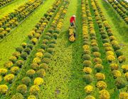 Du lịch Đồng Tháp có gì chơi? Top điểm đến đẹp mê hồn