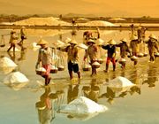 Check-in từ biển đến núi: 13 điểm đến nổi bật ở Quảng Ngãi