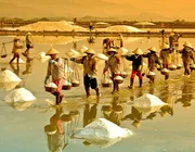 Check-in từ biển đến núi: 13 điểm đến nổi bật ở Quảng Ngãi