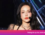 Diệp Lâm Anh bị công kích