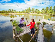 Trà Vinh mở rộng vùng đạt chuẩn NTM nâng cao trong năm 2025