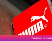 Puma dự báo lỗ cả năm