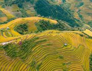 Du lịch tháng 8 có trải nghiệm gì hấp dẫn?