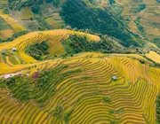 Du lịch tháng 8 có trải nghiệm gì hấp dẫn?