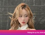 MisThy xin lỗi