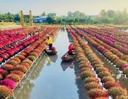 Festival Hoa – Kiểng Sa Đéc: Bước tiến mới trong phát triển du lịch văn hóa – nông nghiệp