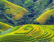 Núi rừng Tây Bắc - Nơi mây trôi trên những bậc thang của núi