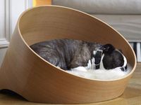 "Choáng" với những món đồ dành cho thú cưng trị giá hàng chục triệu đồng