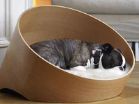 "Choáng" với những món đồ dành cho thú cưng trị giá hàng chục triệu đồng