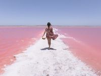 Vẻ đẹp diệu kỳ của hồ muối hồng tại Australia