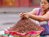 Những món ăn độc lạ nên thử khi đển Mexico