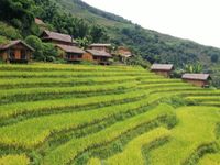 Những khu nghỉ dưỡng mang hơi thở của vùng cao