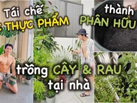 Thùng rác high-tech 36 triệu, biến đồ ăn thừa thành phân bón hữu cơ để trồng rau.