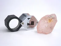 Chiêm ngưỡng viên kim cương hồng lớn nhất được tìm thấy trong 300 năm