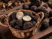 Đưa Món Ăn Lên Một Tầm Cao Mới Với Hương Vị Của Nấm Truffle