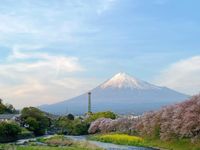 Khám phá đất nước của những bộ anime kinh điển với tour Nhật Bản 6N5Đ