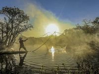 Đẹp mê mẩn rừng ngập mặn Huế mùa thay lá