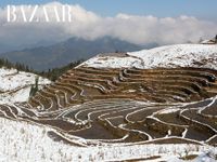 Không cần đi đâu xa, lên Tây Bắc là ngắm được tuyết rơi!