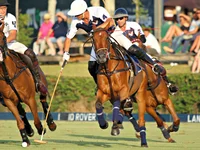 Polo thú chơi quý tộc của giới thượng lưu