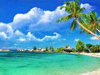 Những điểm lặn biển ngắm san hô đẹp ở Việt Nam