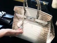 Review túi Hermès Bạch Tạng Himalaya của Ngọc Trinh
