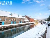 Du lịch Hokkaido, điểm đến một lần nhớ mãi