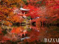 10 địa điểm trong danh sách checkin khi du lịch Kyoto