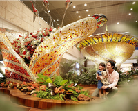 Những lý do khiến sân bay Changi là sân bay tốt nhất thế giới