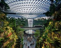 Tại sao sân bay Changi Singapore là sân bay tốt nhất thế giới? Những điều bạn cần biết