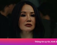Hồng Nhung sau biến cố