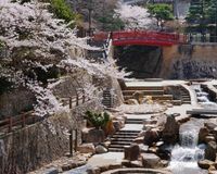 Arima Onsen: Miền đất thiêng của suối nước nóng và văn hóa Nhật Bản