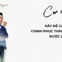 Ảnh trong bài