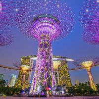 7nhung-diem-den-xu-huong-the-gioi-2019.jpg