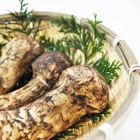 Nấm Matsutake - viên bảo ngọc của ẩm thực châu Á