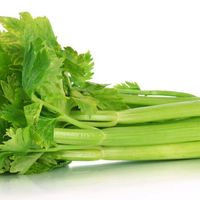 10-Health-Benefits-of-Celery.png