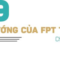 Ảnh trong bài